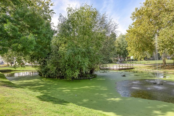 Medium property photo - Amelandseplein 16A, 3083 SE Rotterdam